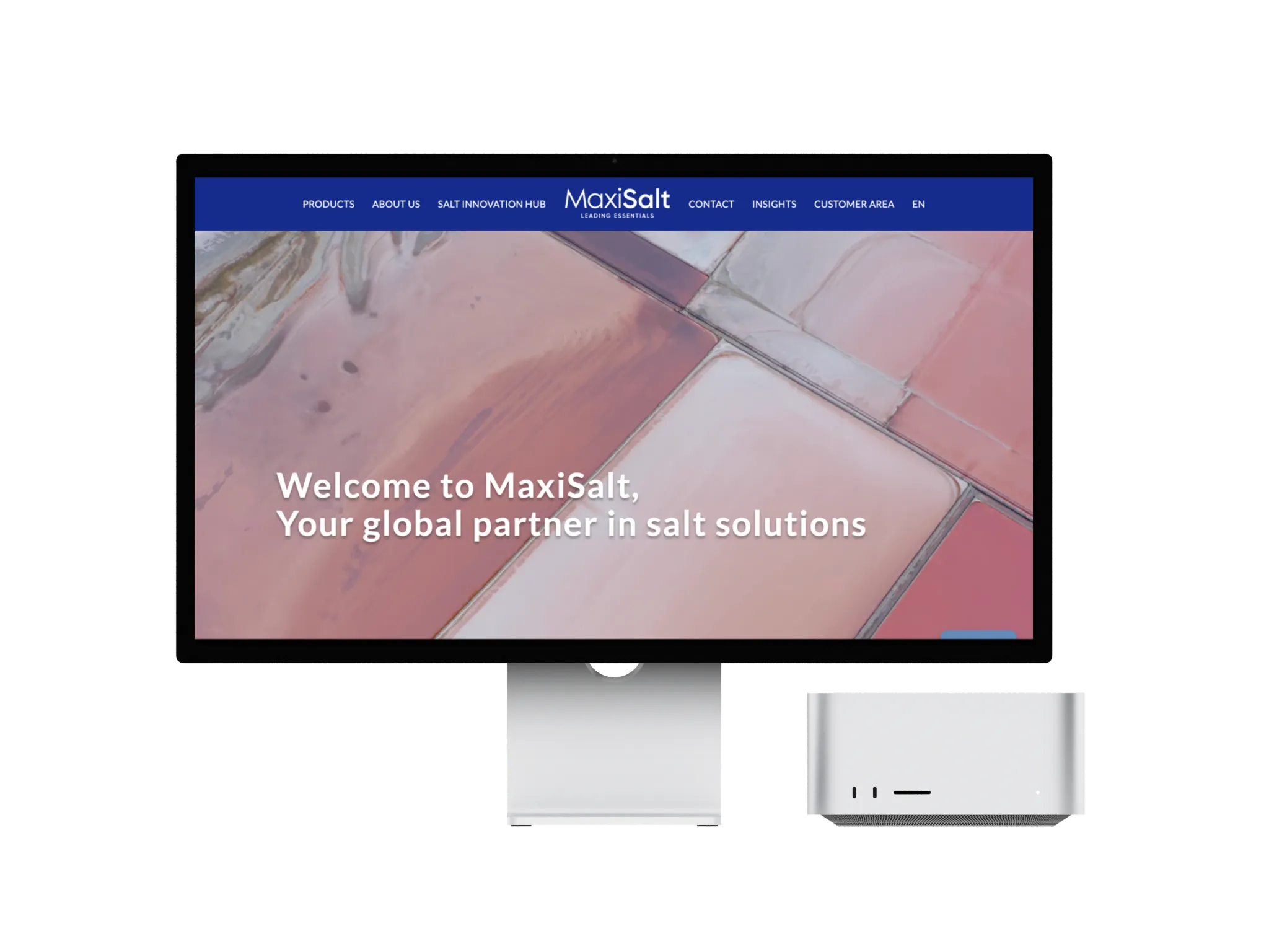 Web de MaxiSalt en una pantalla d'ordinador